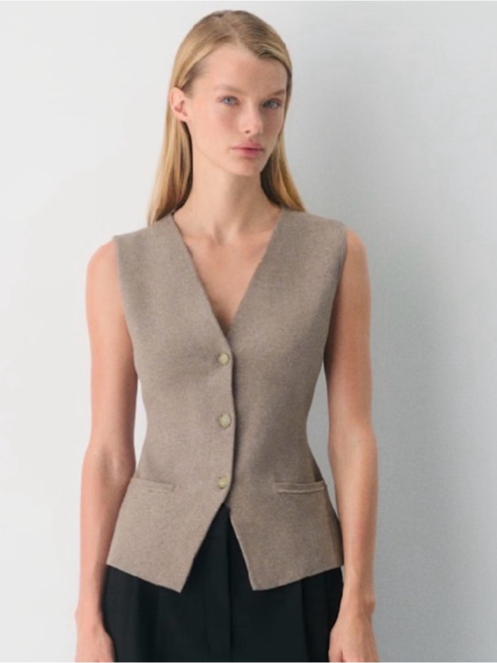 Aritzia Babaton Stakes Sweater Vest